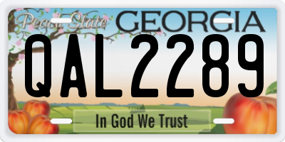 GA license plate QAL2289