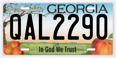 GA license plate QAL2290