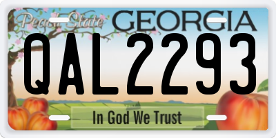 GA license plate QAL2293