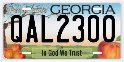 GA license plate QAL2300