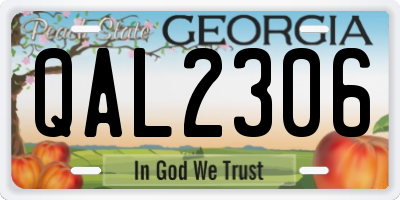 GA license plate QAL2306