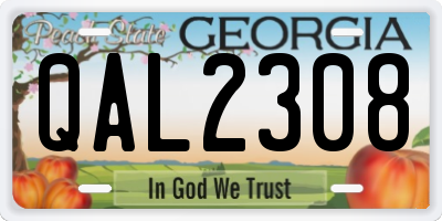 GA license plate QAL2308