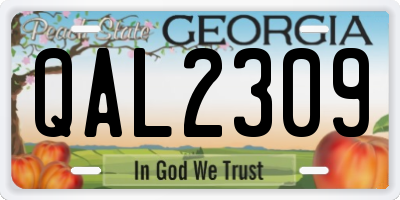 GA license plate QAL2309