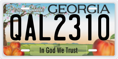 GA license plate QAL2310