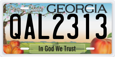 GA license plate QAL2313