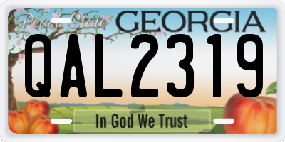 GA license plate QAL2319