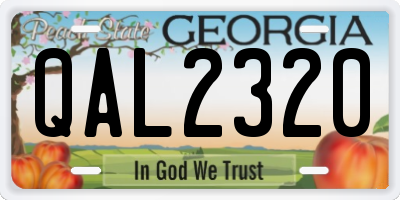 GA license plate QAL2320