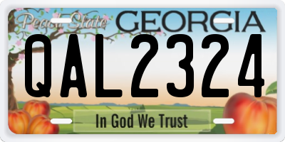 GA license plate QAL2324