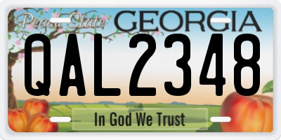 GA license plate QAL2348