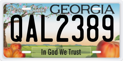 GA license plate QAL2389