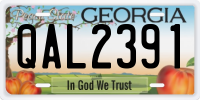 GA license plate QAL2391