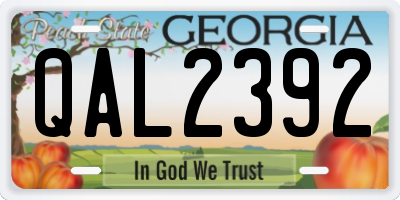 GA license plate QAL2392