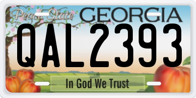 GA license plate QAL2393