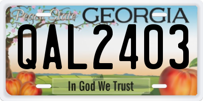 GA license plate QAL2403