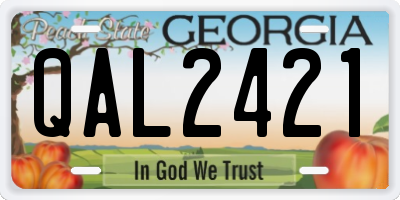 GA license plate QAL2421