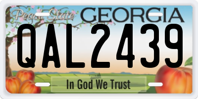 GA license plate QAL2439