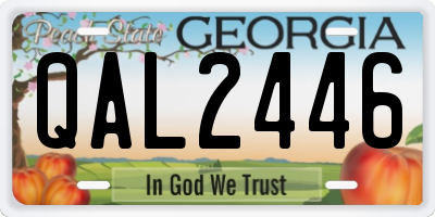 GA license plate QAL2446