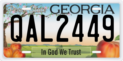 GA license plate QAL2449