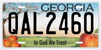 GA license plate QAL2460