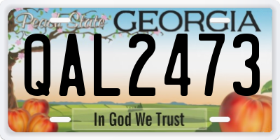 GA license plate QAL2473