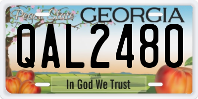 GA license plate QAL2480