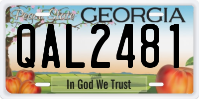 GA license plate QAL2481