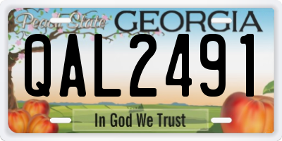 GA license plate QAL2491