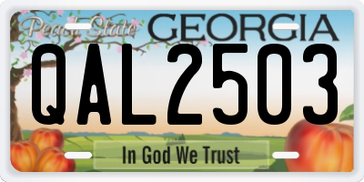 GA license plate QAL2503