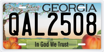 GA license plate QAL2508