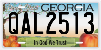 GA license plate QAL2513