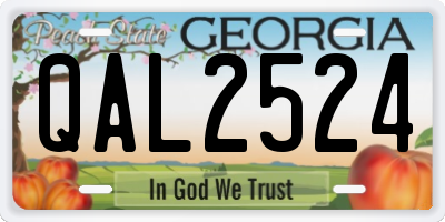 GA license plate QAL2524