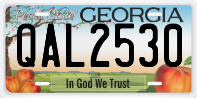 GA license plate QAL2530