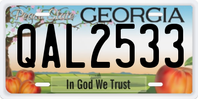 GA license plate QAL2533