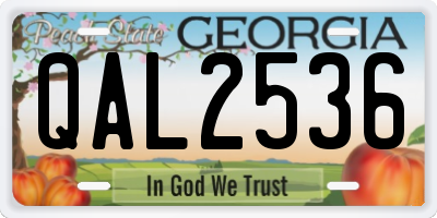 GA license plate QAL2536