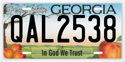 GA license plate QAL2538