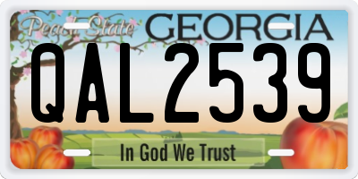 GA license plate QAL2539