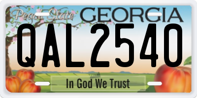 GA license plate QAL2540