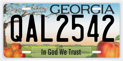 GA license plate QAL2542