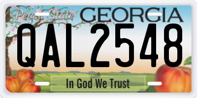 GA license plate QAL2548