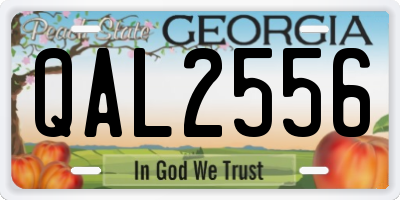 GA license plate QAL2556