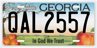 GA license plate QAL2557