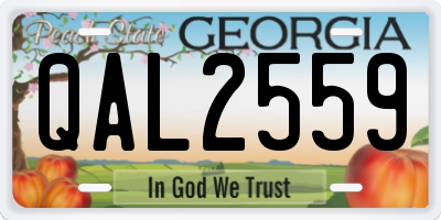 GA license plate QAL2559