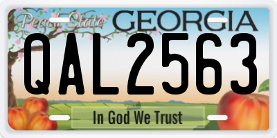 GA license plate QAL2563