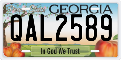 GA license plate QAL2589