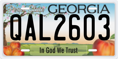 GA license plate QAL2603