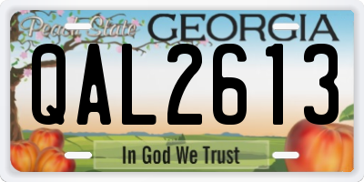 GA license plate QAL2613