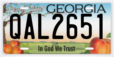 GA license plate QAL2651