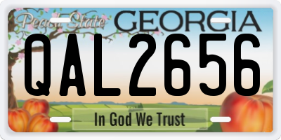 GA license plate QAL2656