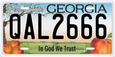 GA license plate QAL2666