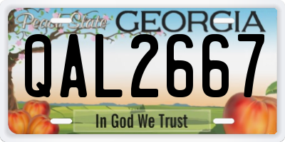 GA license plate QAL2667